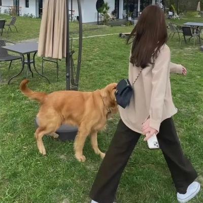 明日传奇第一季
